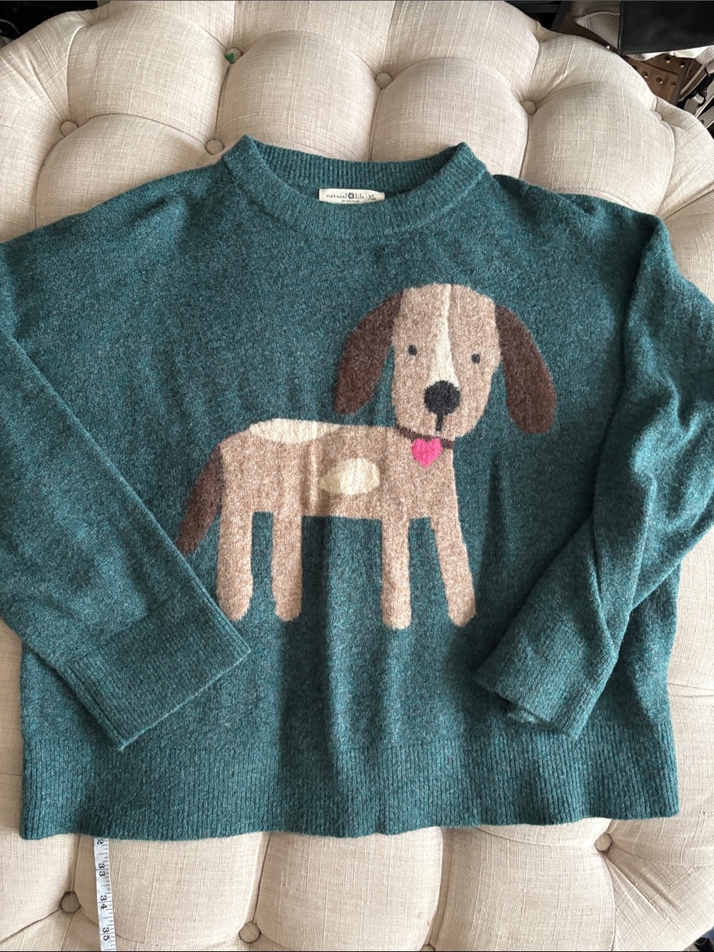 NATURAL LIFE Teal Crewneck Sweater with Dog Graphic